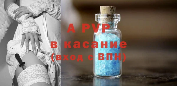 МДПВ Бородино