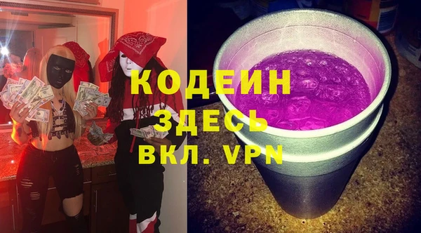 МДПВ Бородино
