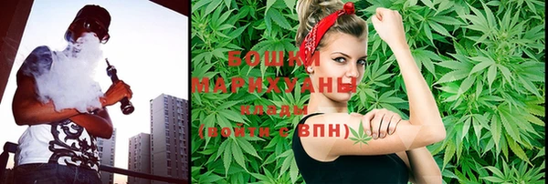 МДПВ Бородино