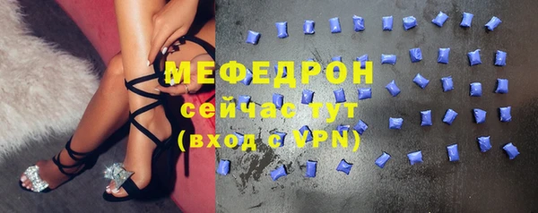 МДПВ Бородино