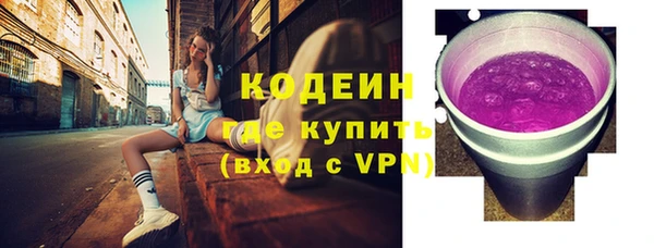 МДПВ Бородино