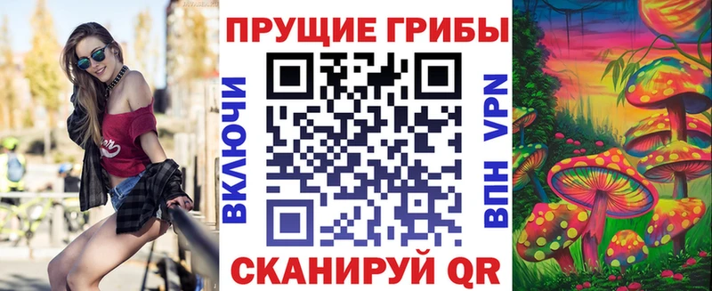 darknet какой сайт  купить  сайты  Кириллов  Галлюциногенные грибы мухоморы 